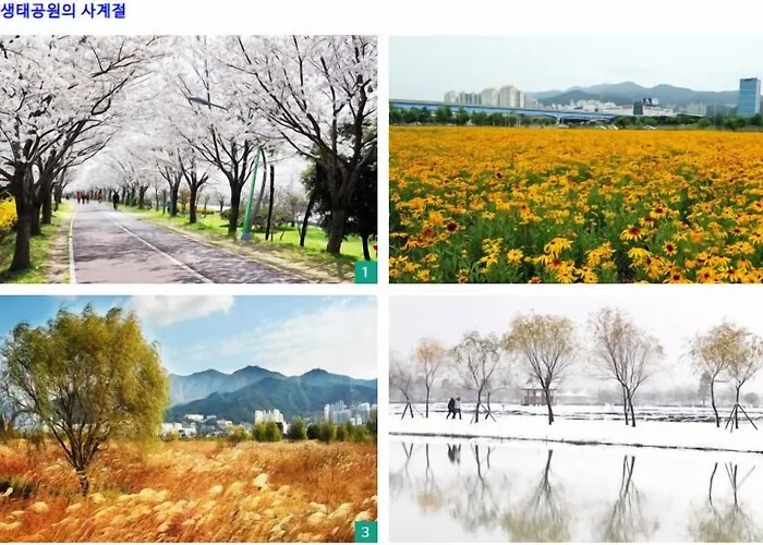 Zam 101 3* Pusan